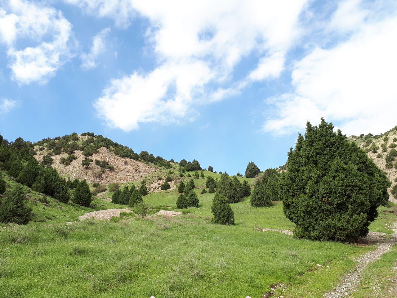 رشته کوه هزار مسجد خراسان