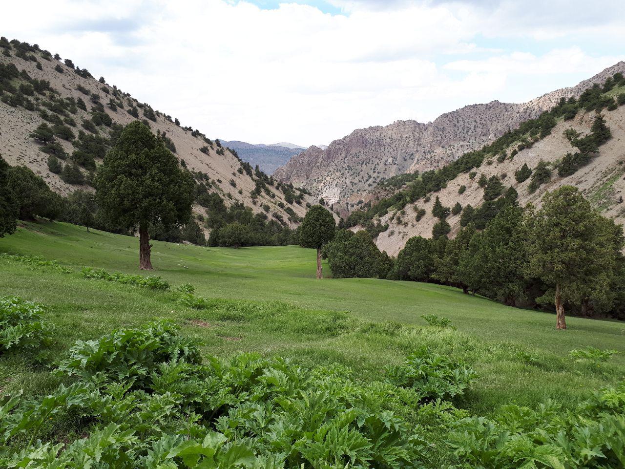 رشته کوه هزار مسجد خراسان - سایت گردشگری ایران