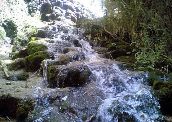 دره آکواریوم داراب