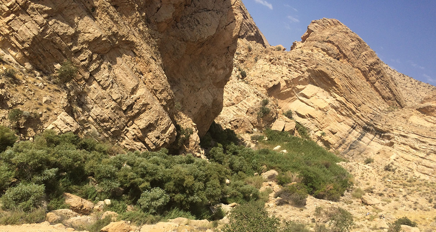 دره آکواریوم داراب