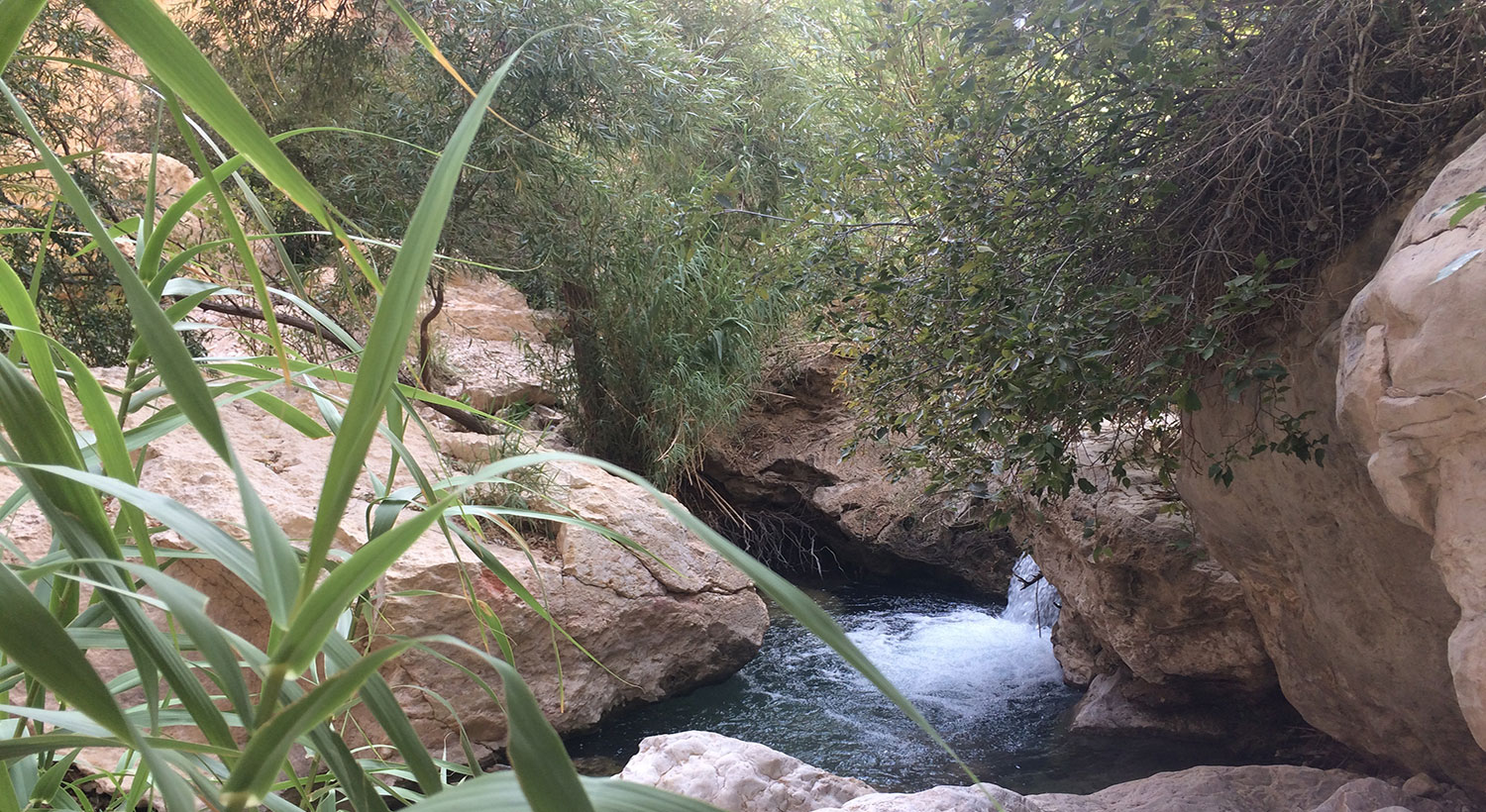 دره آکواریوم داراب
