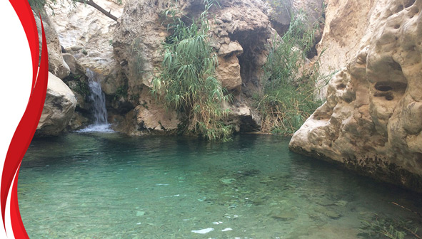 دره آکواریوم داراب