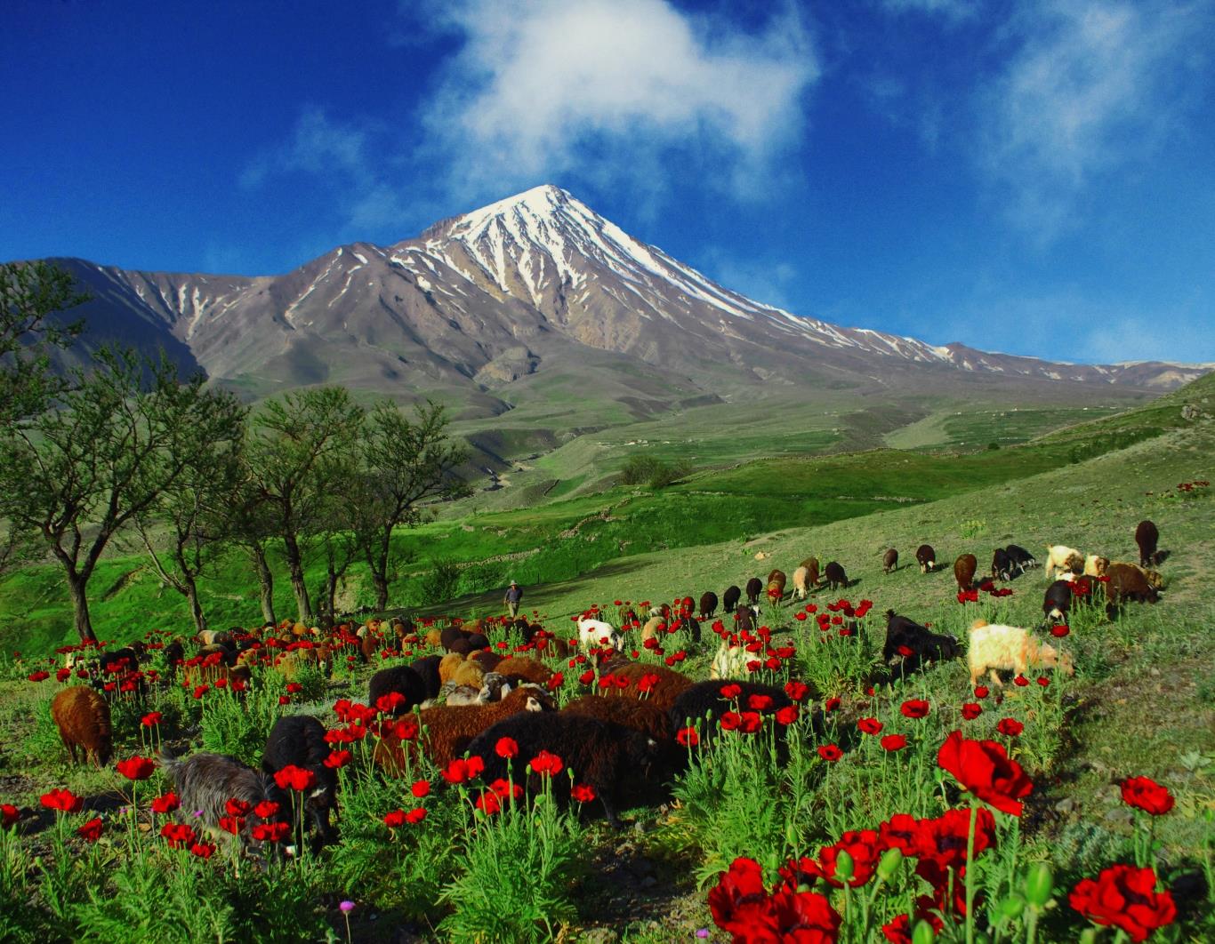 دره زمان پلور