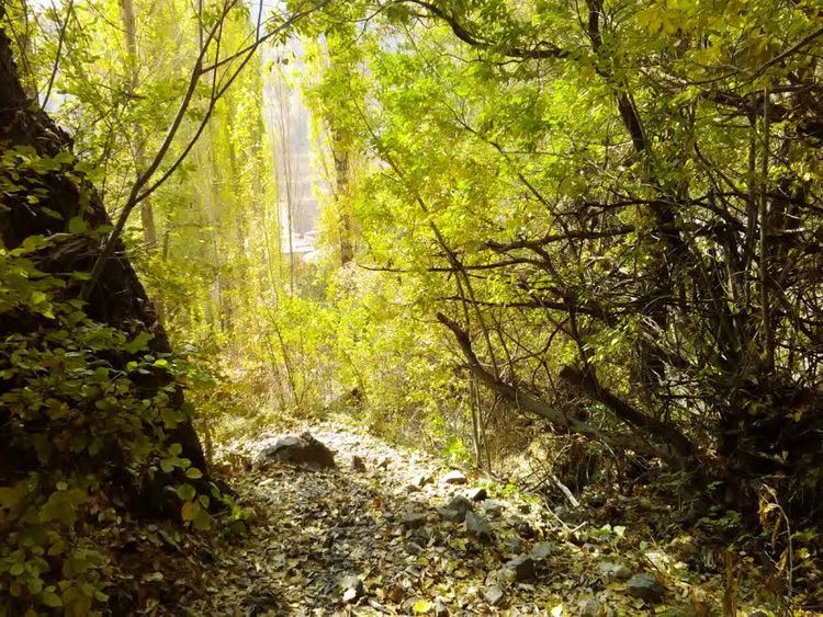 پیست اسکی دربندسر
