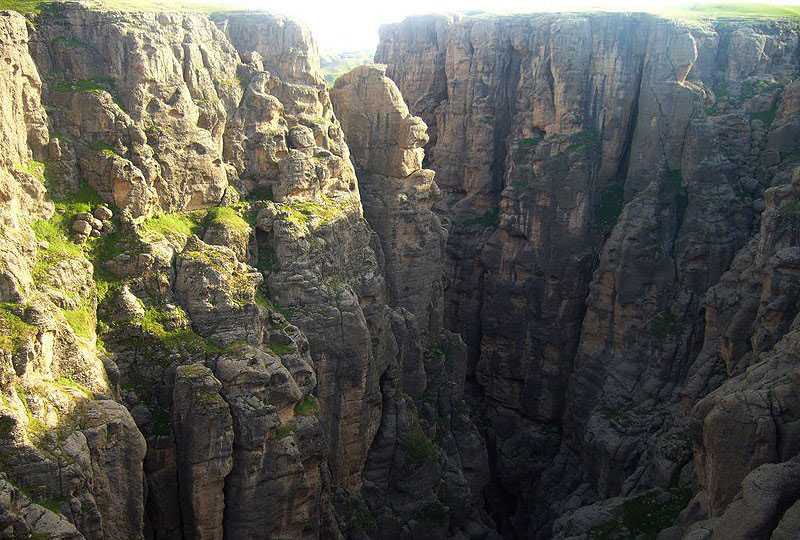 دره دوزویل لالی