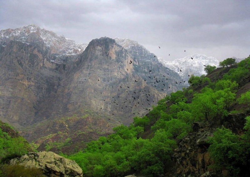 دره عشق