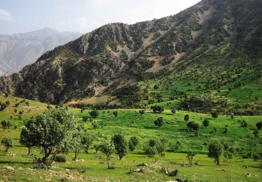 دره عشق