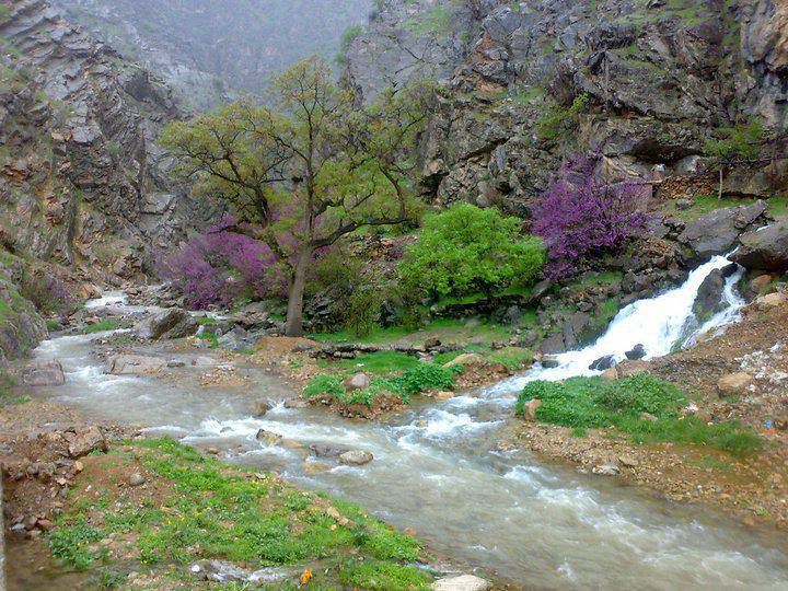 روستای بلبر اورامان