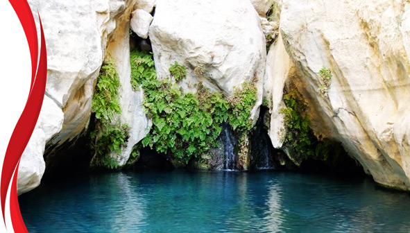 تنگ مخدان