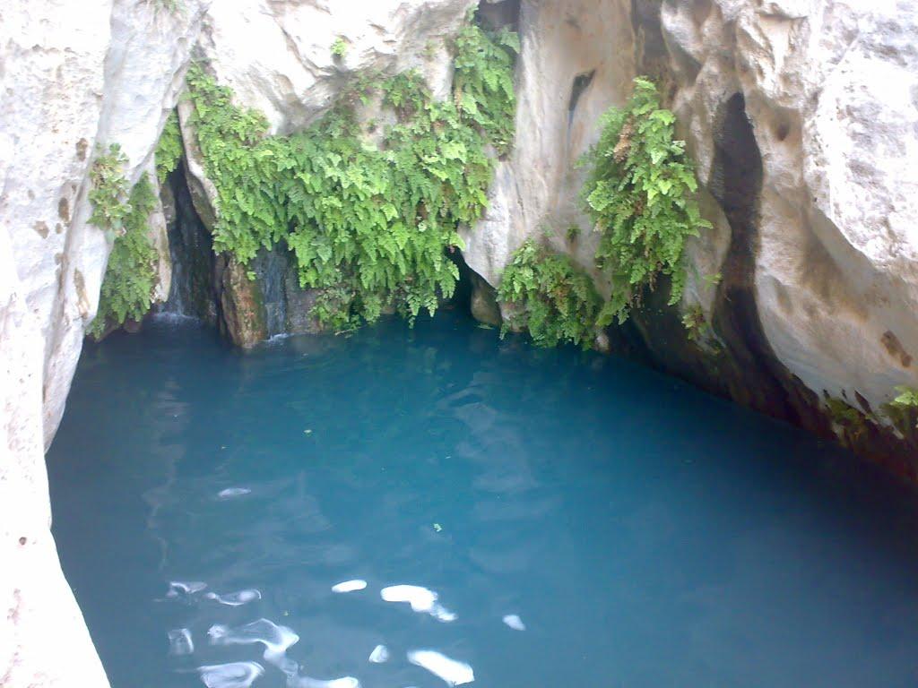 تنگ مخدان