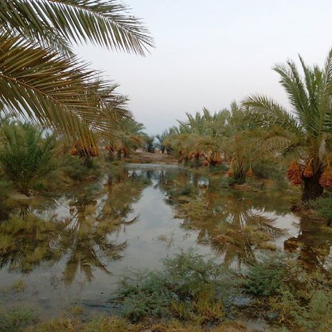 آبگرم دالکی