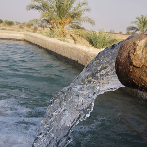 آبگرم دالکی