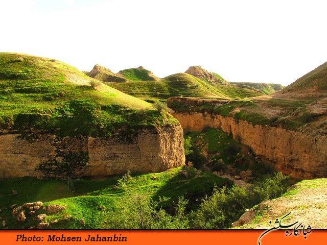 چشنه بیدو شبانکاره