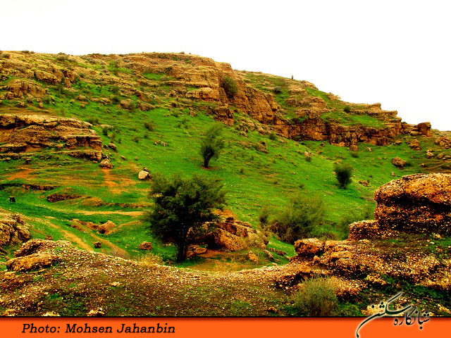 چشنه بیدو شبانکاره