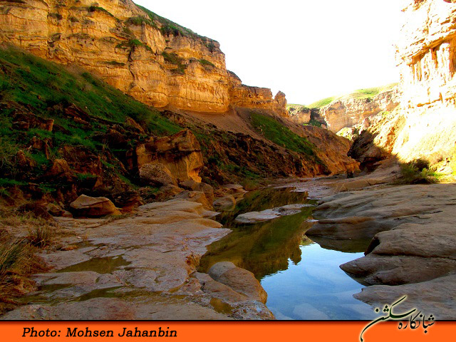 چشنه بیدو شبانکاره