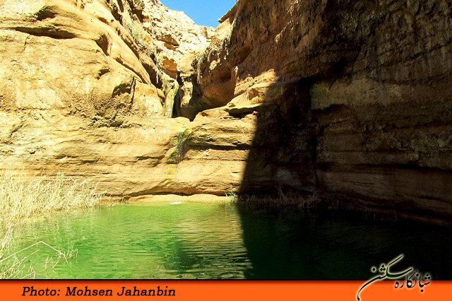 چشنه بیدو شبانکاره