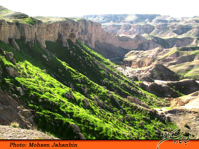 چشنه بیدو شبانکاره