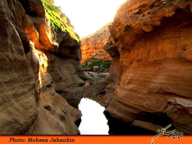 چشنه بیدو شبانکاره