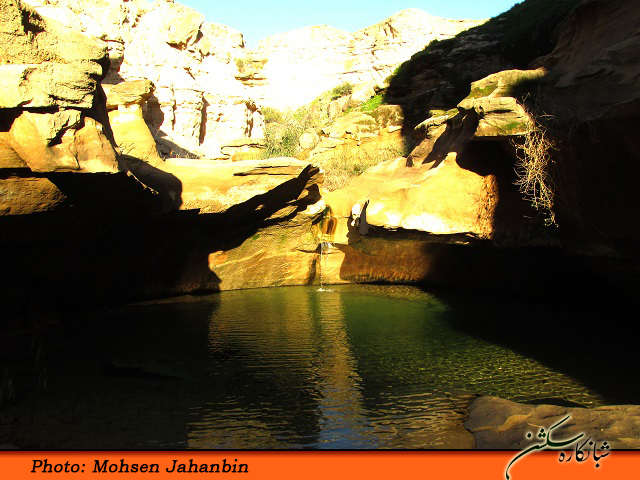 چشنه بیدو شبانکاره