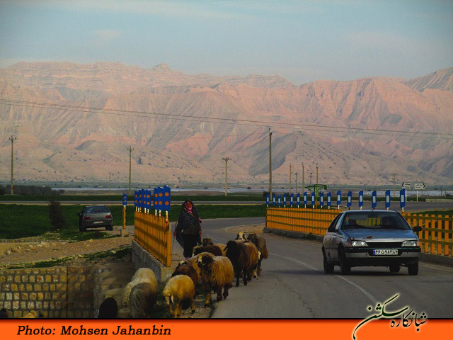 چشنه بیدو شبانکاره