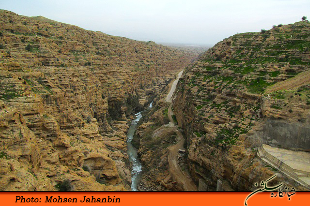 چشنه بیدو شبانکاره