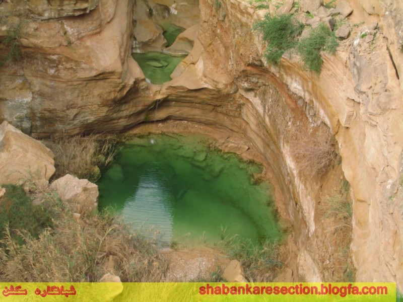 چشنه بیدو شبانکاره