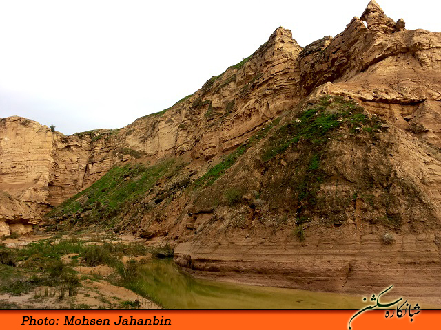 چشنه بیدو شبانکاره