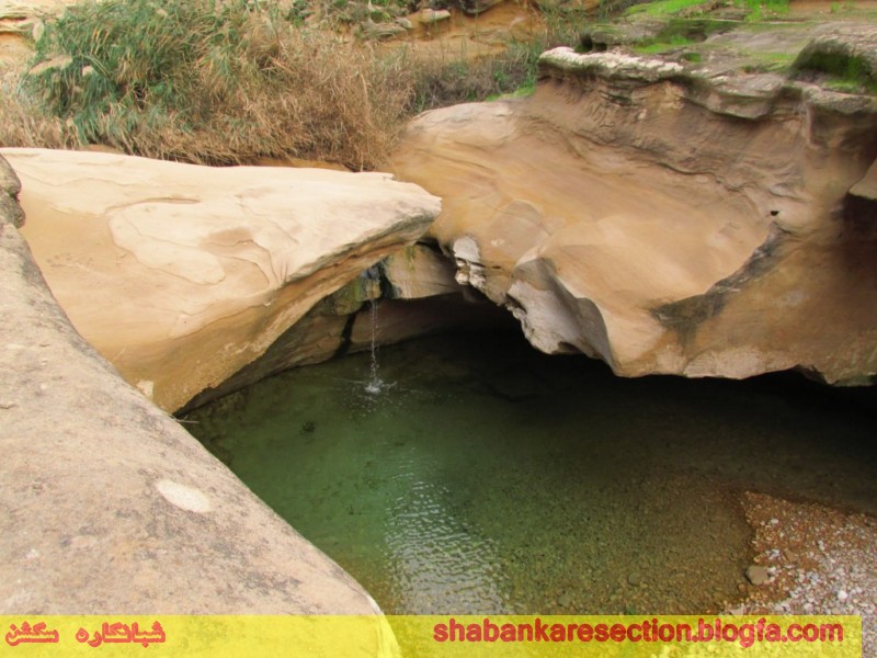 چشنه بیدو شبانکاره