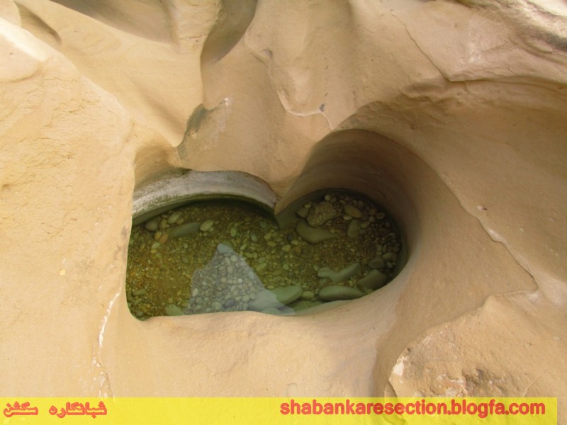 چشنه بیدو شبانکاره