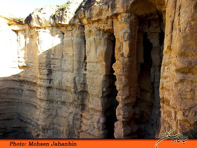 چشنه بیدو شبانکاره