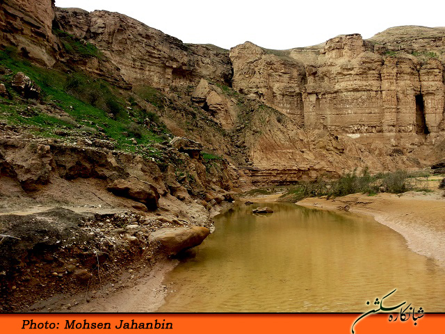 چشنه بیدو شبانکاره