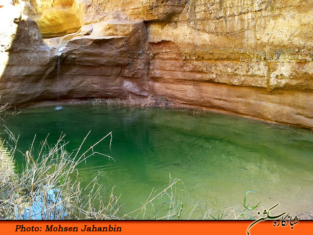 چشنه بیدو شبانکاره