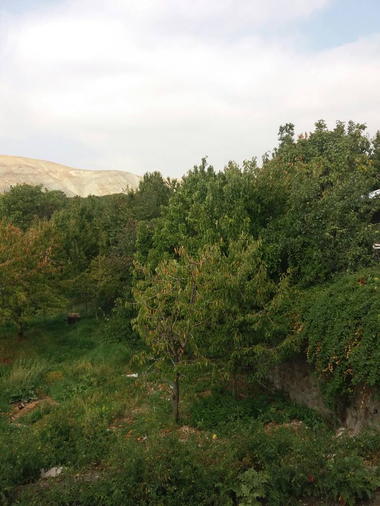 ویلا امیر لواسان