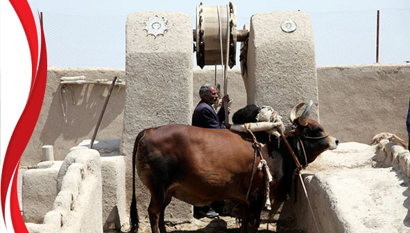 چاه گاو ورزنه