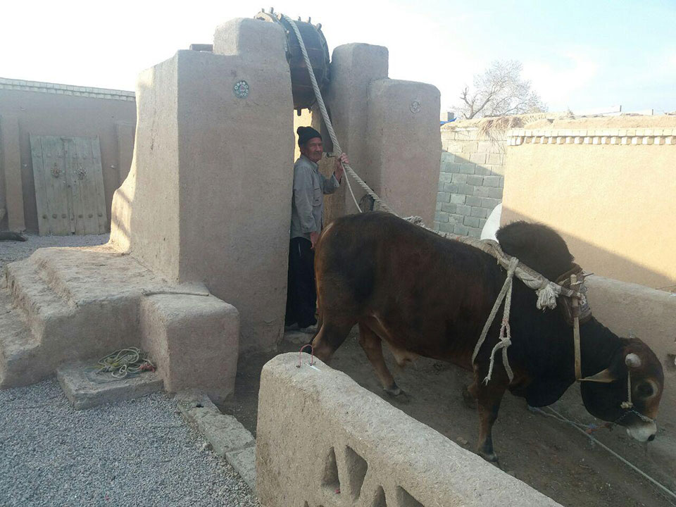 چاه گاو ورزنه