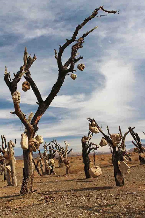 باغ سنگی سیرجان