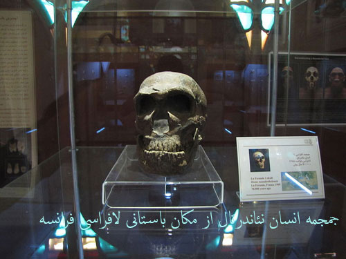 موزه پارینه سنگی زاگرس