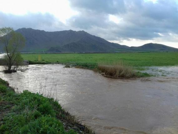 سراب روانسر