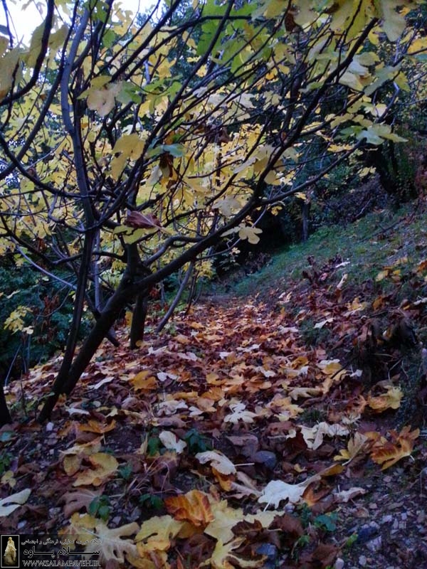 روستای خانقاه کرمانشاه