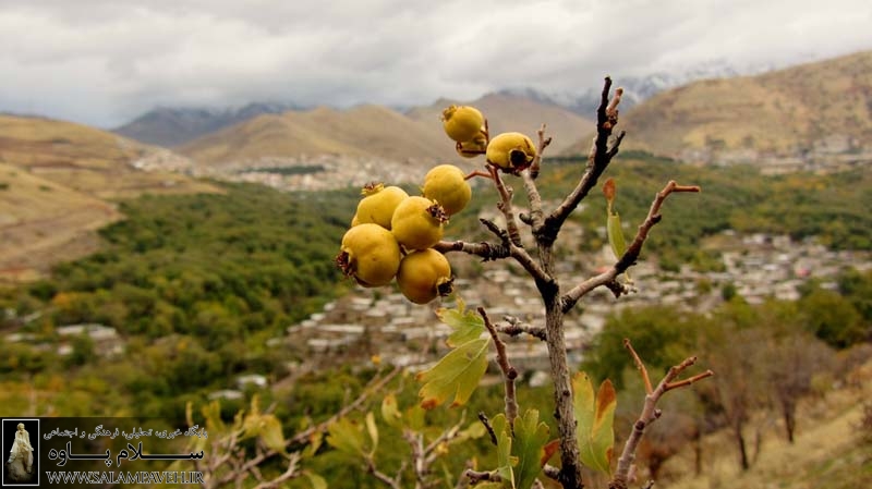 روستای خانقاه کرمانشاه