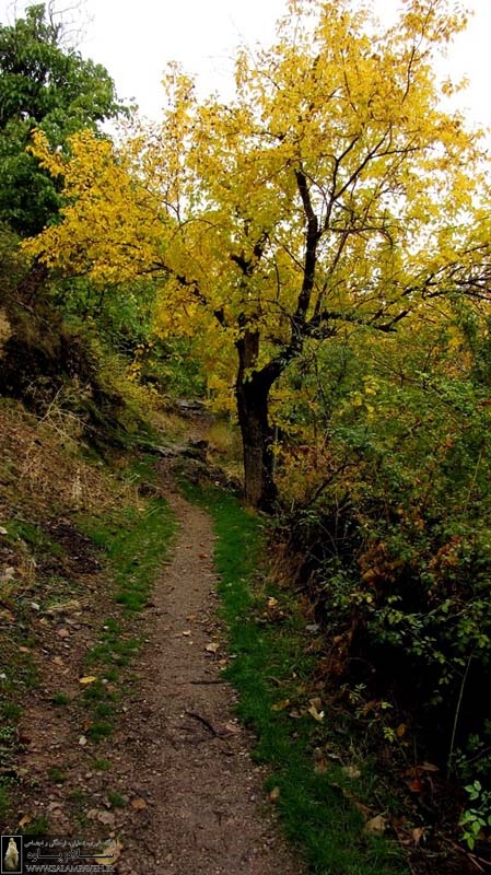 روستای خانقاه کرمانشاه