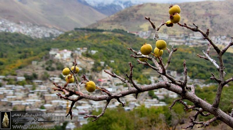 روستای خانقاه کرمانشاه