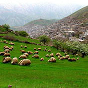 روستای ساتیاری پاوه