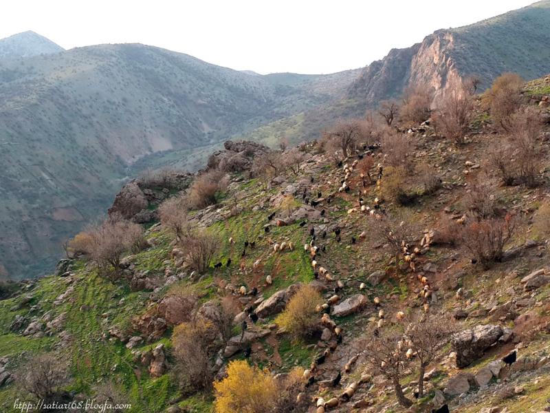 روستای ساتیاری پاوه