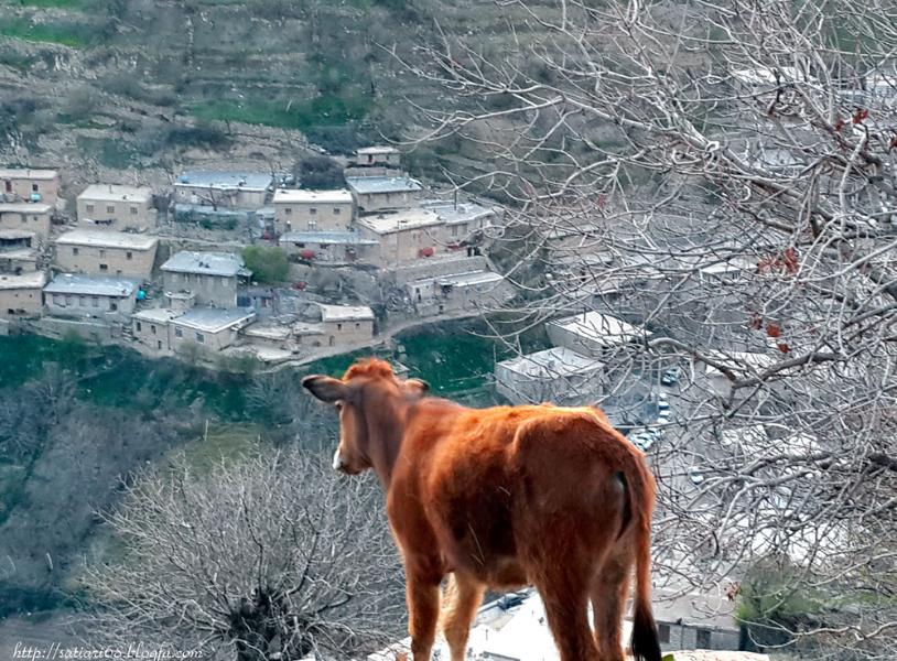 روستای ساتیاری پاوه