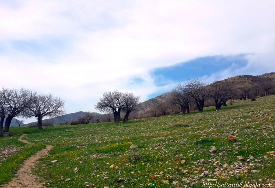 روستای ساتیاری پاوه