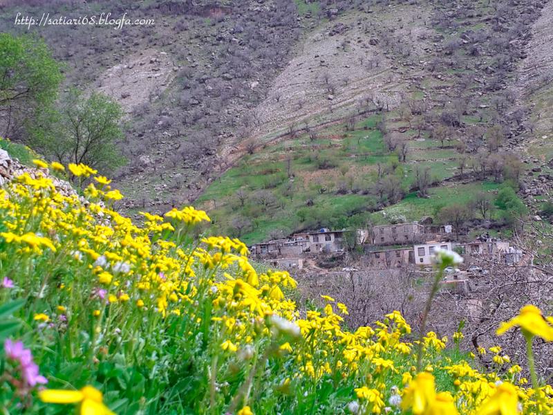روستای ساتیاری پاوه