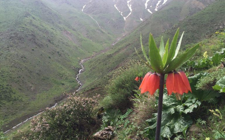 روستای دولاب کردستان