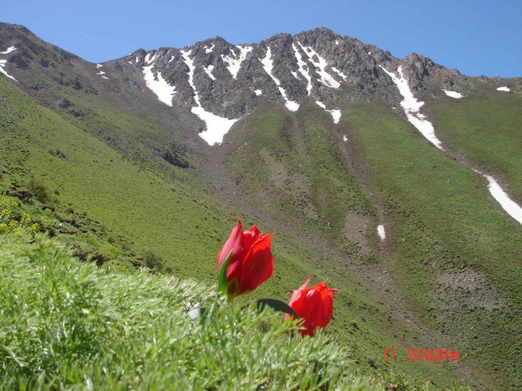 روستای دولاب کردستان