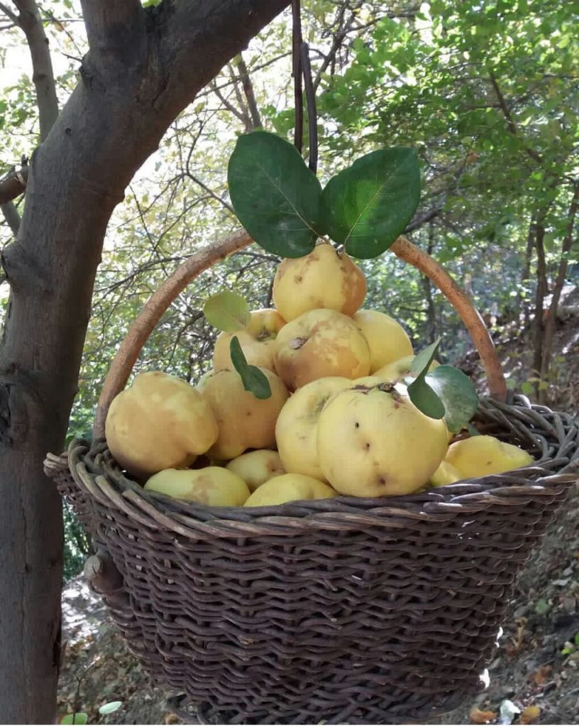 روستای دولاب کردستان